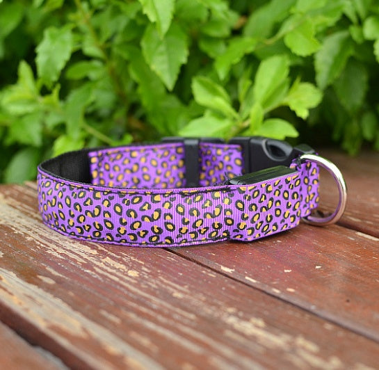 Keep Pups Safe and Stylish with LED Collar