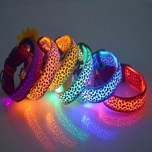 Keep Pups Safe and Stylish with LED Collar