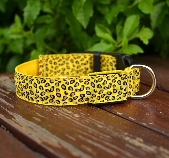 Keep Pups Safe and Stylish with LED Collar