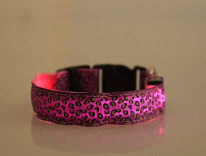 Keep Pups Safe and Stylish with LED Collar