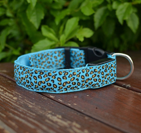 Keep Pups Safe and Stylish with LED Collar