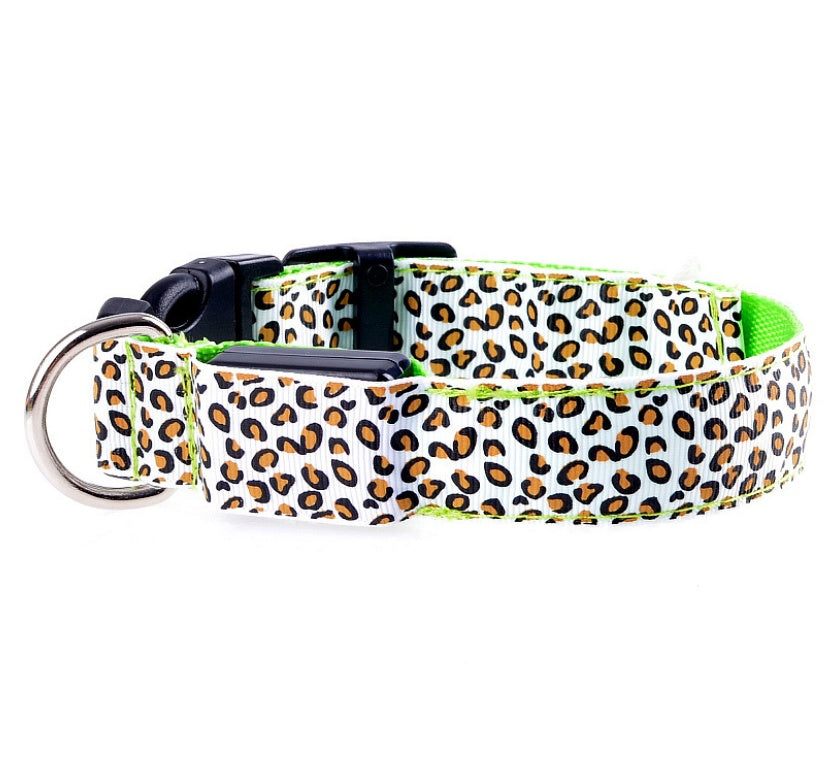 Keep Pups Safe and Stylish with LED Collar