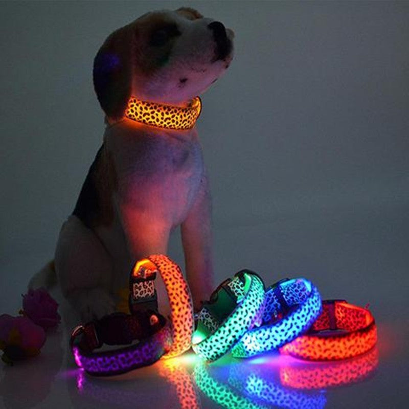Keep Pups Safe and Stylish with LED Collar
