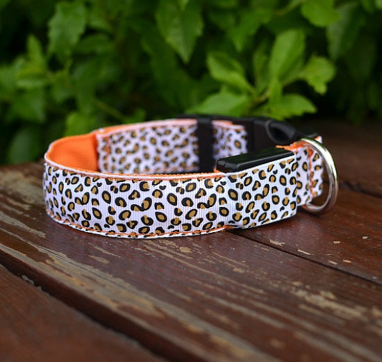 Keep Pups Safe and Stylish with LED Collar
