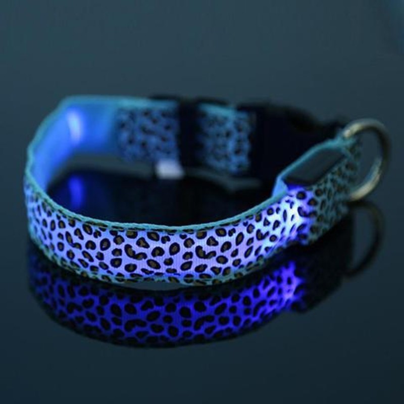 Keep Pups Safe and Stylish with LED Collar
