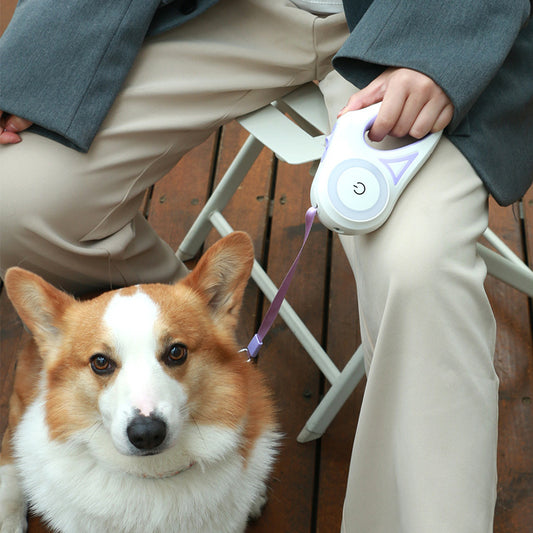 Safe Walks: Retractable Leash with Collar & Light