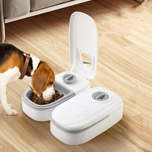 Auto Pet Feeder – Carefree Mealtime for Your Furry Friend