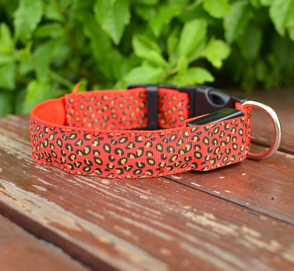 Keep Pups Safe and Stylish with LED Collar