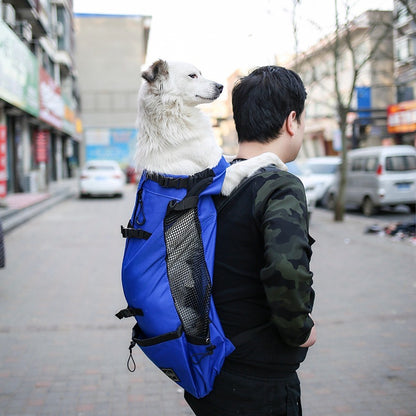 Portable Dog Carrier Backpack for Everyday Journeys