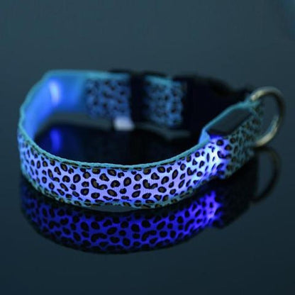 Keep Pups Safe and Stylish with LED Collar