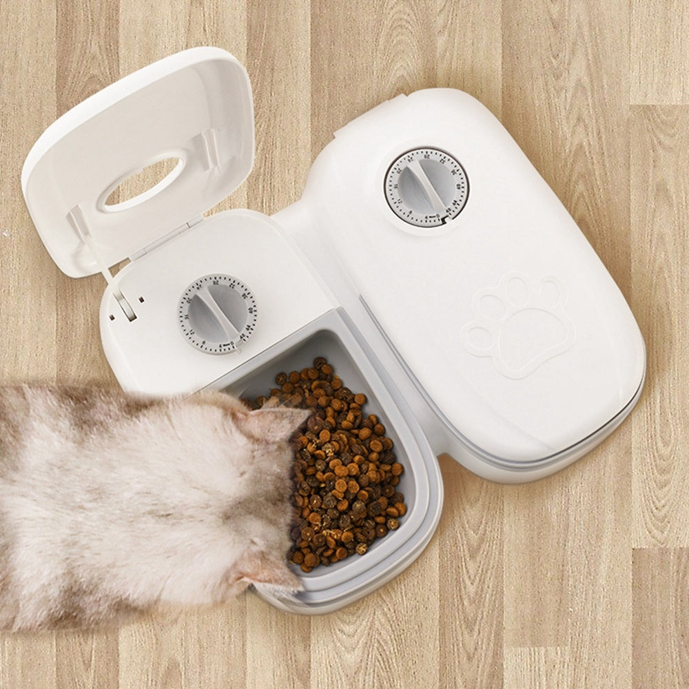 Auto Pet Feeder – Carefree Mealtime for Your Furry Friend