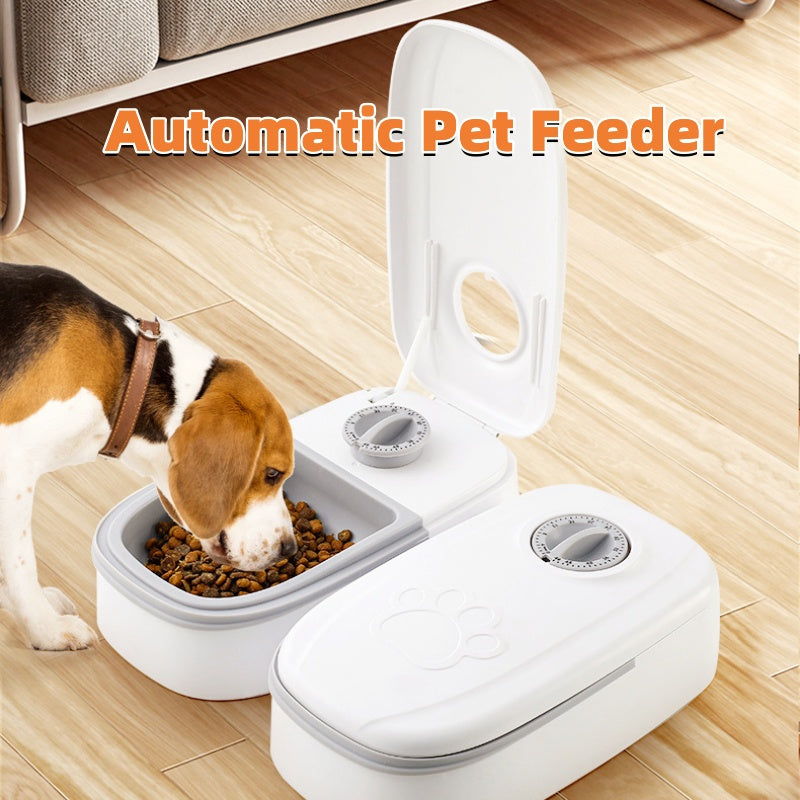 Auto Pet Feeder – Carefree Mealtime for Your Furry Friend